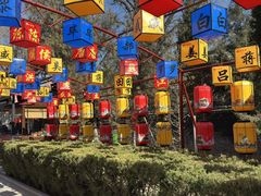 -大槐树寻根祭祖园
