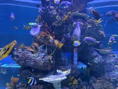 -成都浩海立方海洋公园