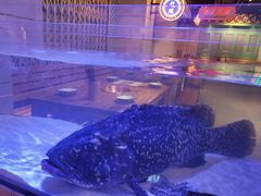 -十六蒲(桂林路店)