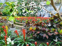 -南山植物园