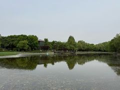 -望湖公园
