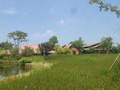 -良渚古城遗址公园