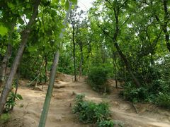 -灵岩山风景区