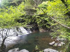 -石台牯牛降景区