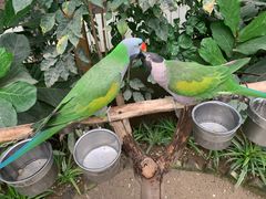 -南宫五洲植物乐园