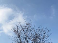 -花开海上生态园