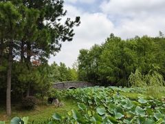 -长广溪湿地公园