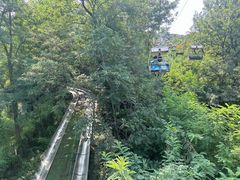 -富斯特索道