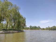 -杨柳青庄园