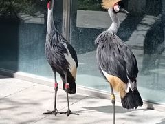 -哈尔滨北方森林动物园