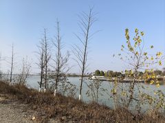 -瑶湖郊野森林公园