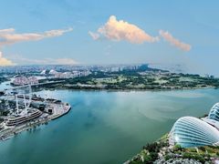 -夏苑(新加坡丽思卡尔顿美年酒店)