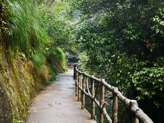 -石台牯牛降景区