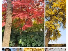 -南通濠河风景名胜区