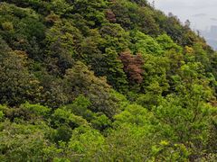 -梧桐山风景名胜区