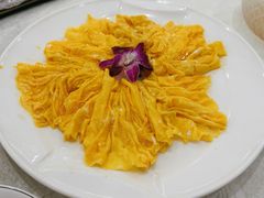 黄埔炒蛋-姚林轩