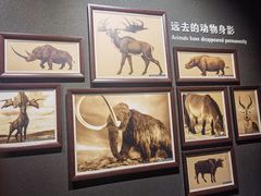 -大庆市博物馆