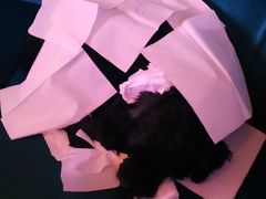 -星光灿烂KTV(金沙店)