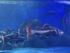 -多彩贵州城极地海洋世界