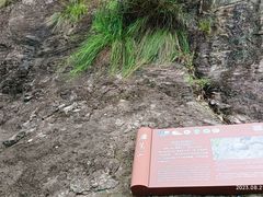 -雁荡山大龙湫景区