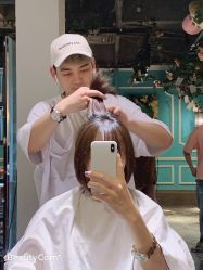 点击看大图 -金棕榈