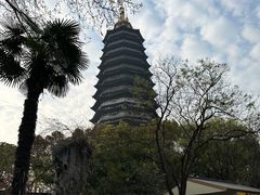 -红梅公园