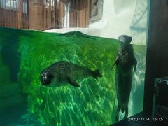 -秦皇岛乐岛海洋王国