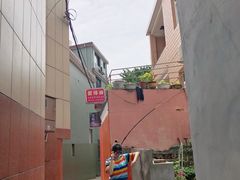 -枸杞岛