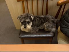 -张烤鸭·川菜·非遗冒烤鸭(青石桥店)