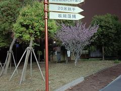 -极限PLAY运动娱乐新世界·团建派对表演休闲馆·室内高空游乐园