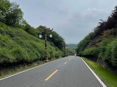 -宜兴龙背山森林公园