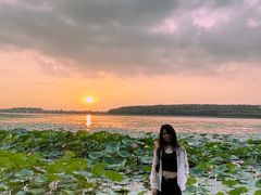 -丁香湖公园
