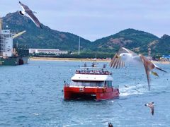 -西霞口神雕山野生动物世界