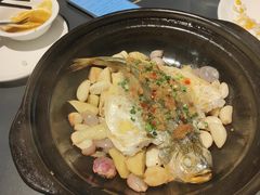 生焗鲜黄鱼-兰亭轩茶餐厅(长江路店)