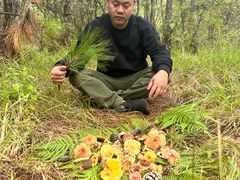 -鲜菌江湖正宗野生菌火锅