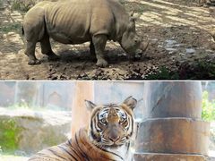 -杭州野生动物世界