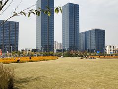 -映月湖中央公园