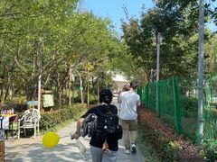 -合肥滨湖国家森林公园