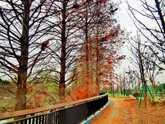 -西溪国家湿地公园