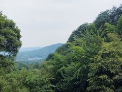 -韬光茶庵