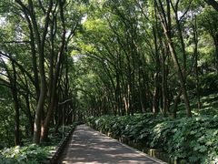 -上海市保健医疗中心(华东疗养院)