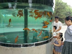 -石家庄市动物园