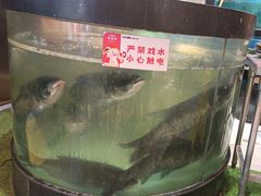 -聚鑫阁江浙菜·非遗传承技艺(青村帝华园店)