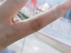 -沈阳奥体冰雪嘉年华