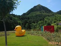 android_upload_pic-密云玫瑰情园