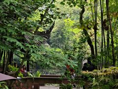 -眉山湿地公园(东坡区)