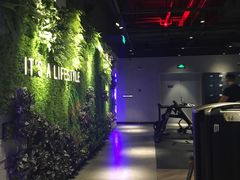 -威尔仕健身·游泳(KING88店)