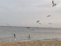 -傅家庄公园