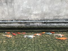 -前童古镇
