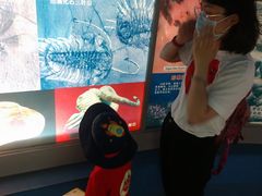 -上海昆虫博物馆